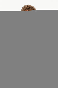 кобалт-суитчър-бейсик-8-1451570-1