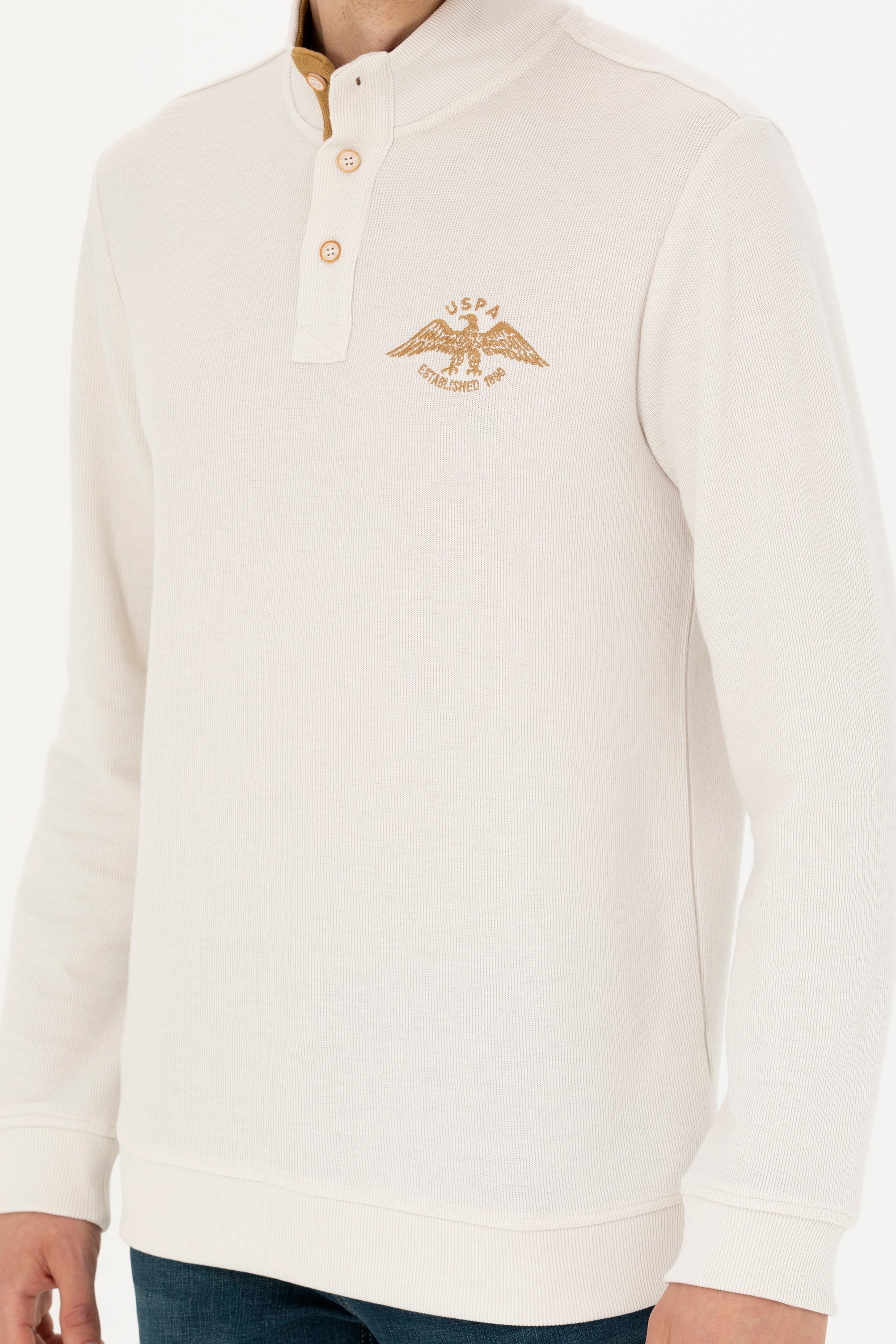 слонова-кост-суитчър-8-1668573-1