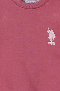 пепел-от-рози-комплект-от-2-части-8-usb916-5