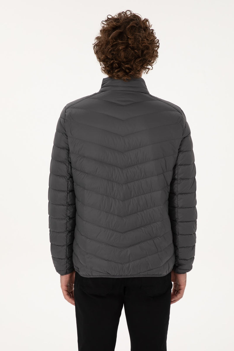 сив-яке-8-2246446-1